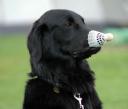 Avatar de Fabien